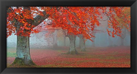 Framed Arboles Rojos Print