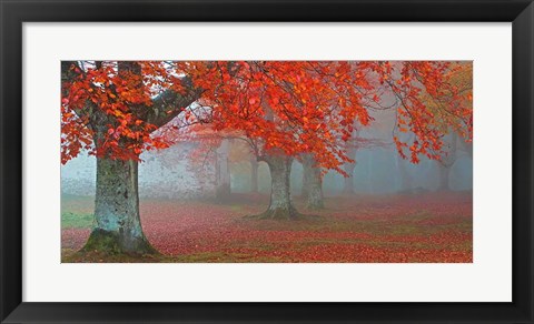 Framed Arboles Rojos Print