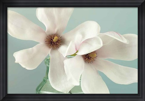 Framed Magnolias Print