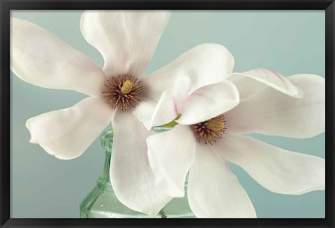 Framed Magnolias Print