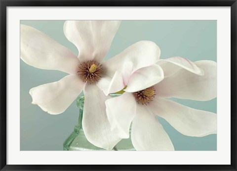 Framed Magnolias Print