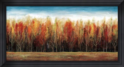 Framed Deep Forest Print