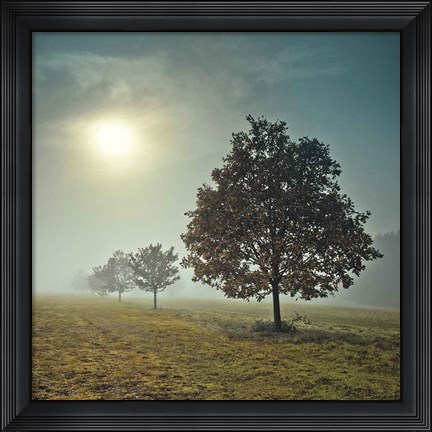 Framed It&#39;s a New Day Print