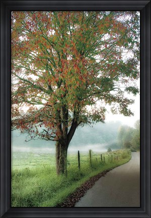 Framed Almost Autumn Print