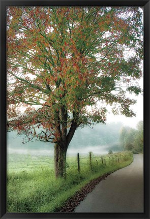 Framed Almost Autumn Print