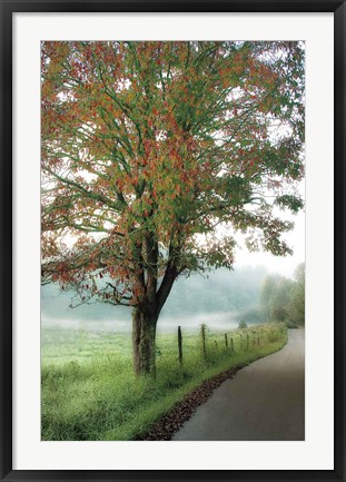 Framed Almost Autumn Print