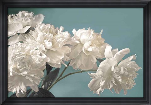 Framed Snow White Print