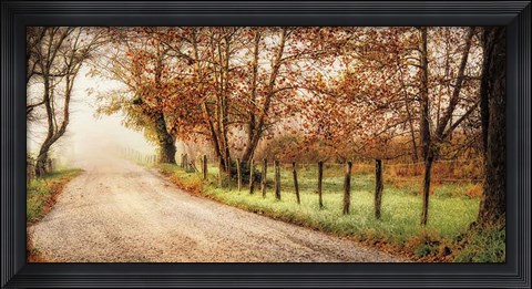 Framed Fog Ahead Print