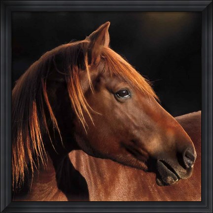 Framed Pretty Girl Print