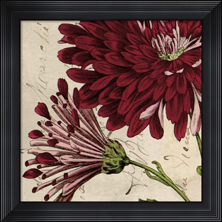 Framed Joyful Bloom II Print