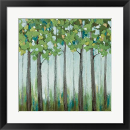 Framed Tranquil View II Print