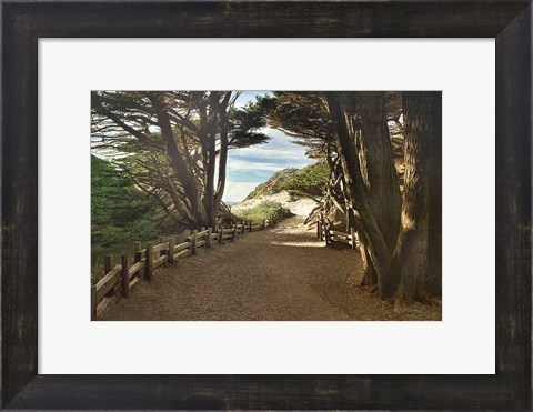 Framed Big Sur Print