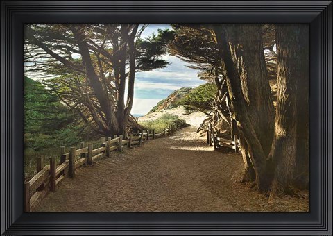 Framed Big Sur Print