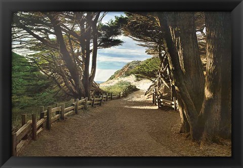 Framed Big Sur Print