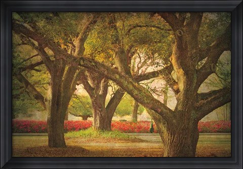 Framed Three Oaks and Azaleas Print