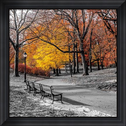 Framed Park Pretty I Print