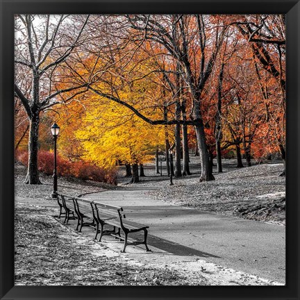 Framed Park Pretty I Print