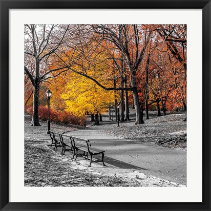 Framed Park Pretty I Print