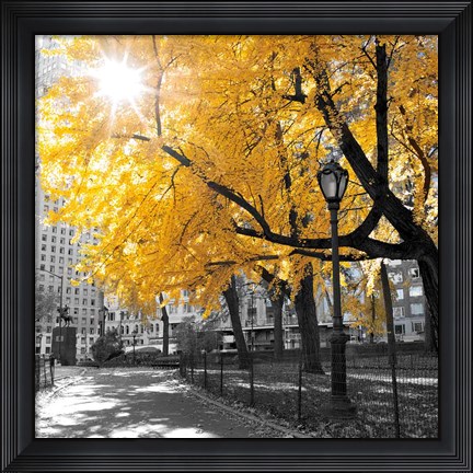 Framed Park Pretty II Print