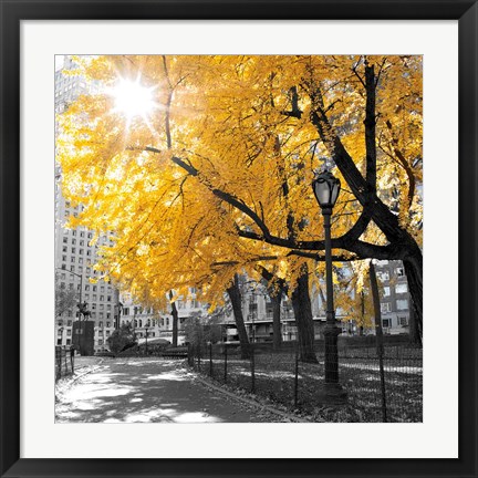 Framed Park Pretty II Print