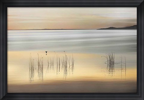 Framed Golden Print