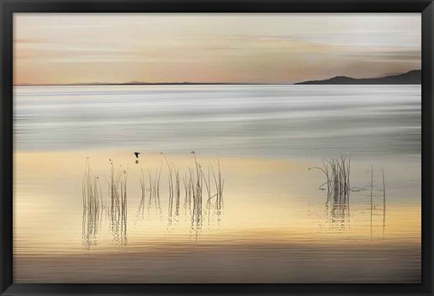 Framed Golden Print