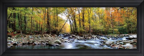 Framed Porters Creek Print
