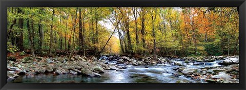 Framed Porters Creek Print