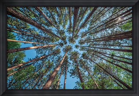 Framed Up Print