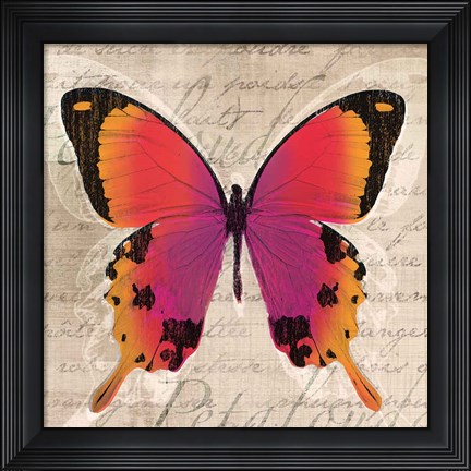 Framed Butterflies III Print