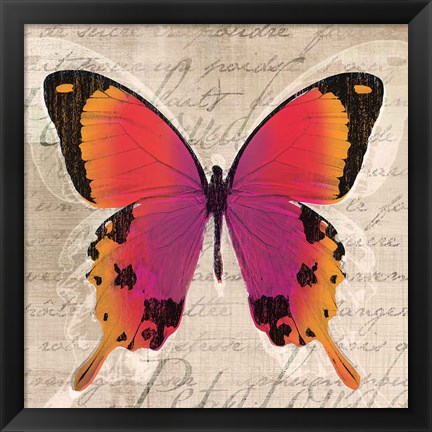 Framed Butterflies III Print