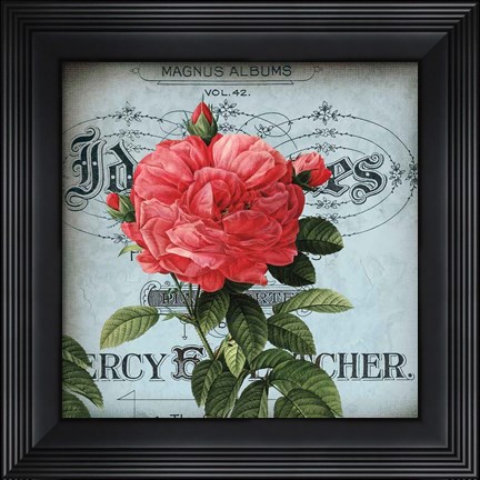 Framed Petite Rose I Print