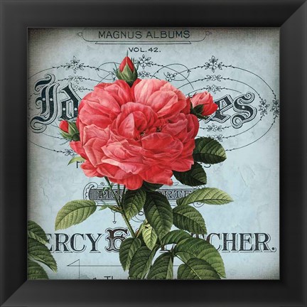 Framed Petite Rose I Print