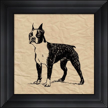 Framed Boston Terrier Print