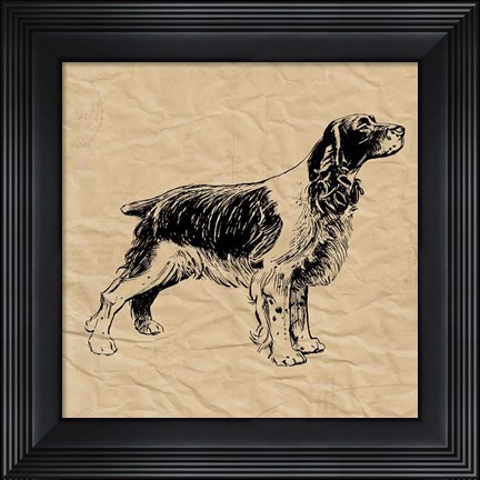 Framed Spaniel Print
