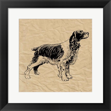 Framed Spaniel Print