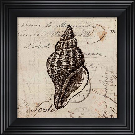 Framed Ocean Collection I Print
