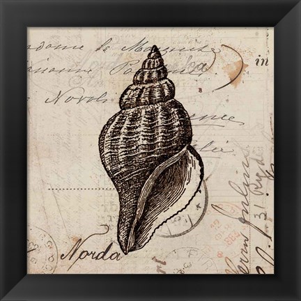 Framed Ocean Collection I Print