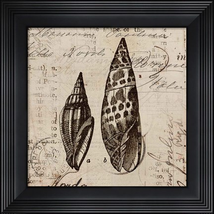 Framed Ocean Collection III Print