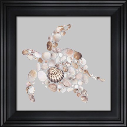 Framed Sea Turtle Print