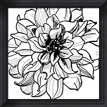 Framed Floral Outlines III Print