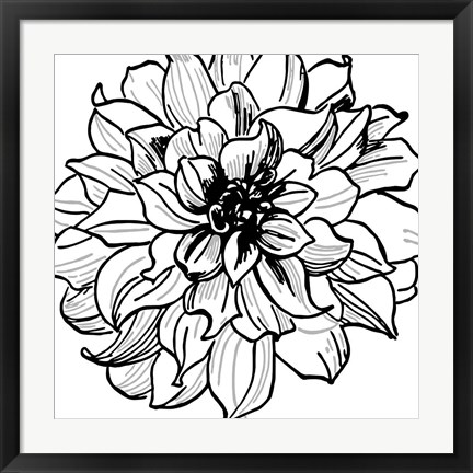 Framed Floral Outlines III Print