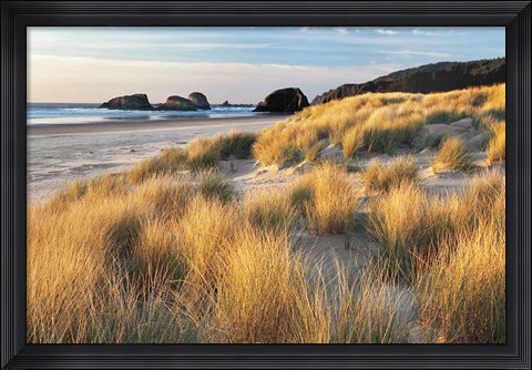 Framed Dune Grass And Beach Print
