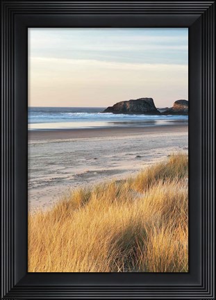 Framed Dune Grass And Beach I Print