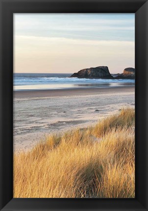 Framed Dune Grass And Beach I Print