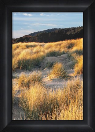 Framed Dune Grass Qnd Beach III Print