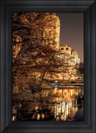 Framed Central Park Glow I Print