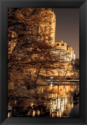 Framed Central Park Glow I Print