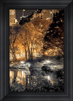 Framed Central Park Glow III Print