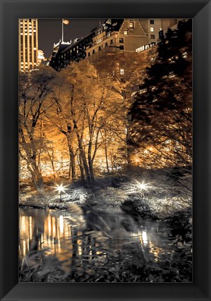 Framed Central Park Glow III Print